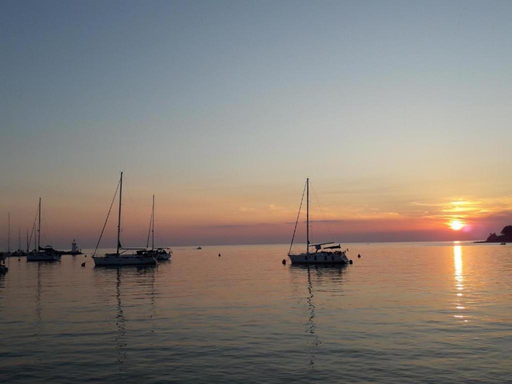 Newtown Lägenhet Novigrad Istria