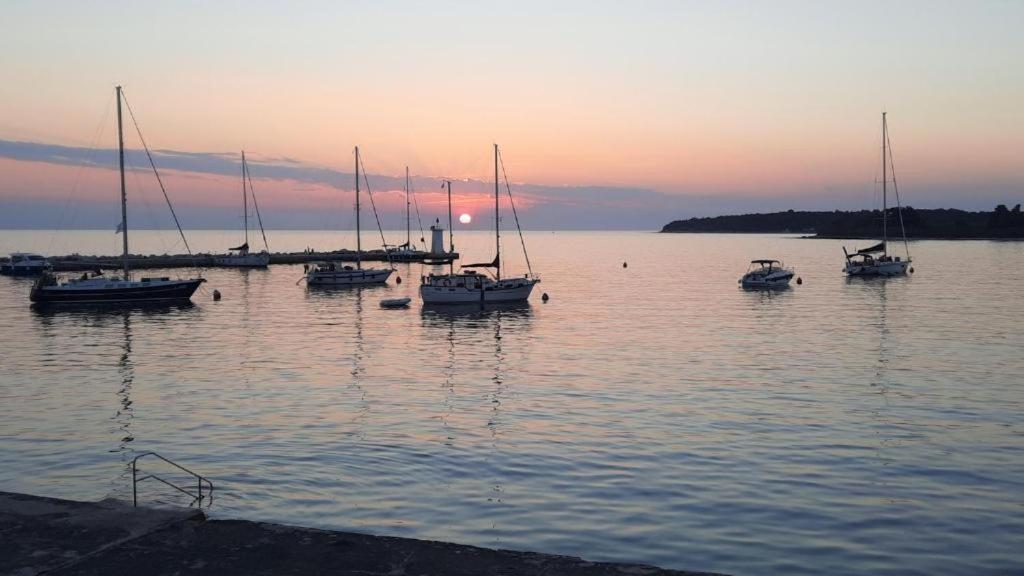 Newtown Lägenhet Novigrad Istria